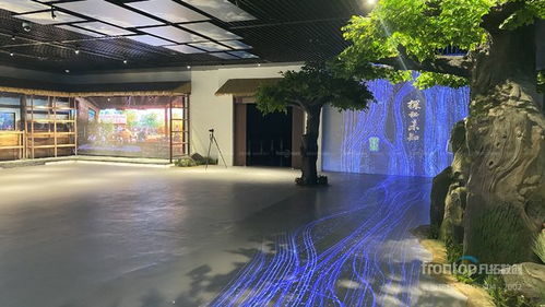 數(shù)字創(chuàng)意先鋒，國(guó)際榮耀加冕 凡拓?cái)?shù)創(chuàng)趙崇光榮獲idpa award top100國(guó)際影響力創(chuàng)新設(shè)計(jì)師大獎(jiǎng)